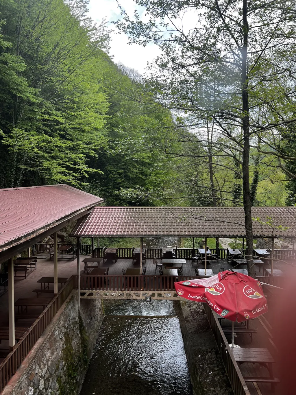 Yayla Alabalık – Sapanca Balık