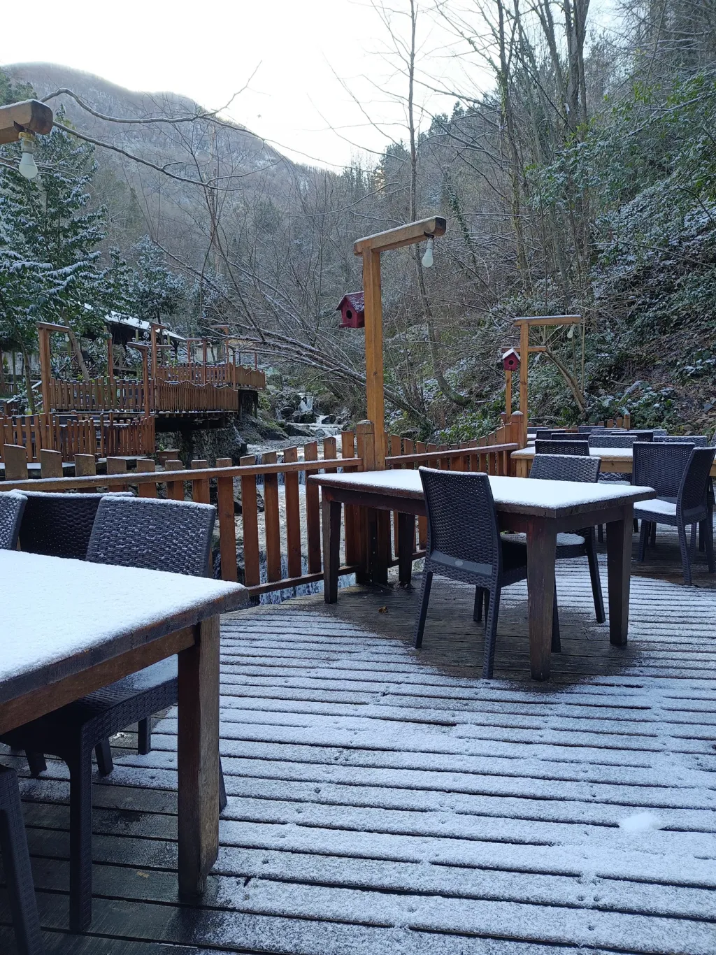 Pınar Alabalık RESTAURANT Maşukiye – Sapanca Balık