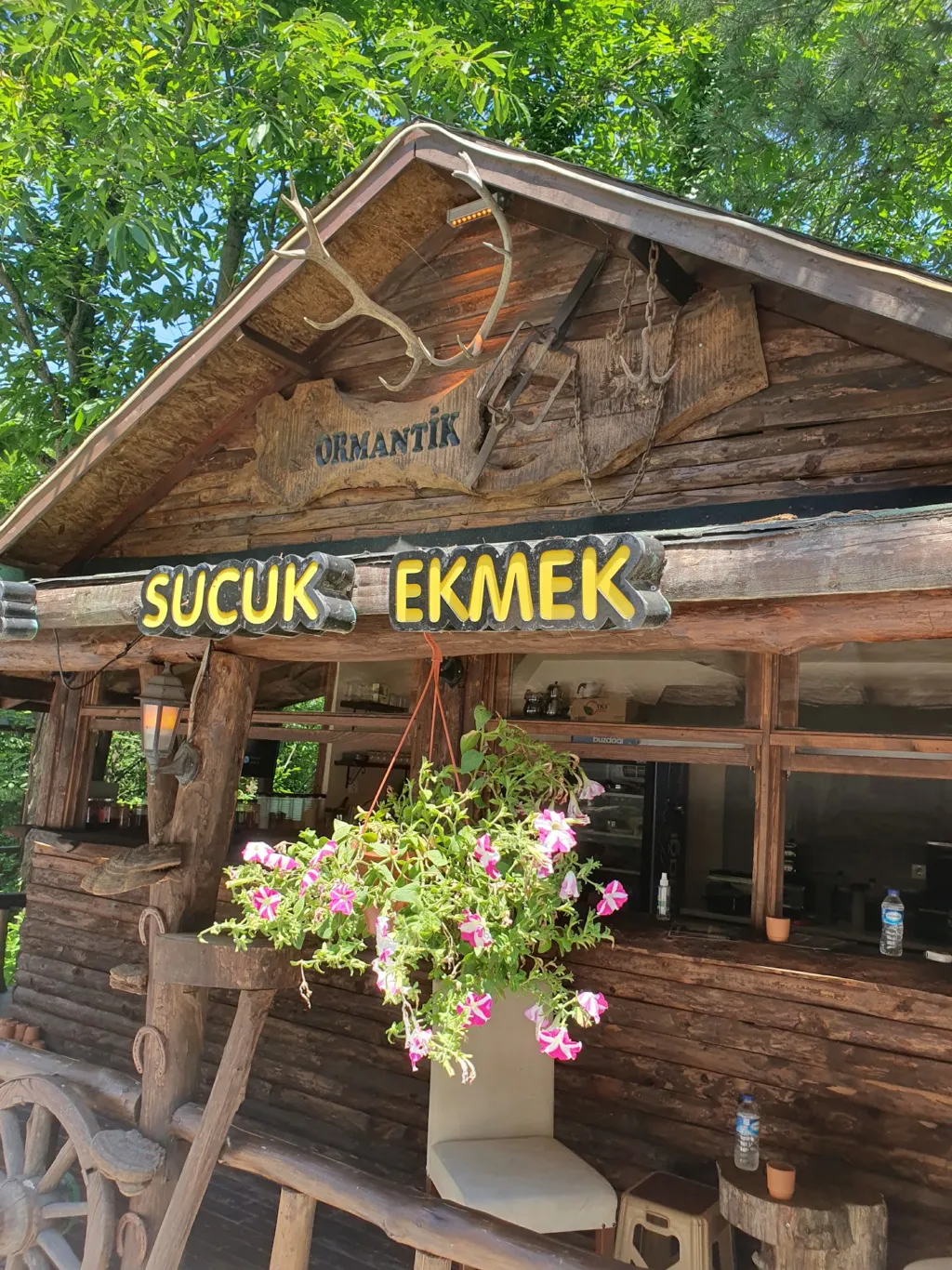 Ormantik – Sapanca Maşukiye