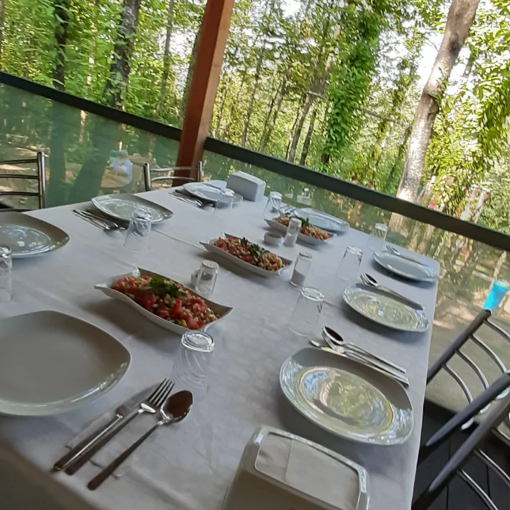LİVADİ KARTEPE – Sapanca Maşukiye